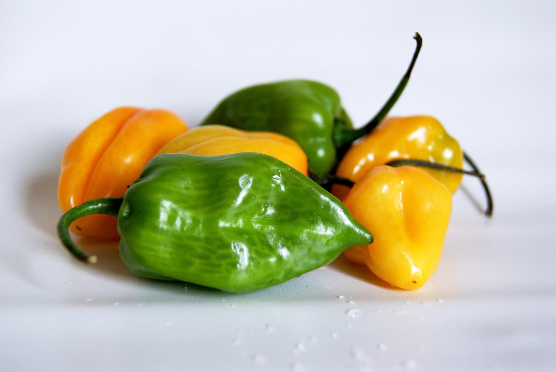 Aji mixto