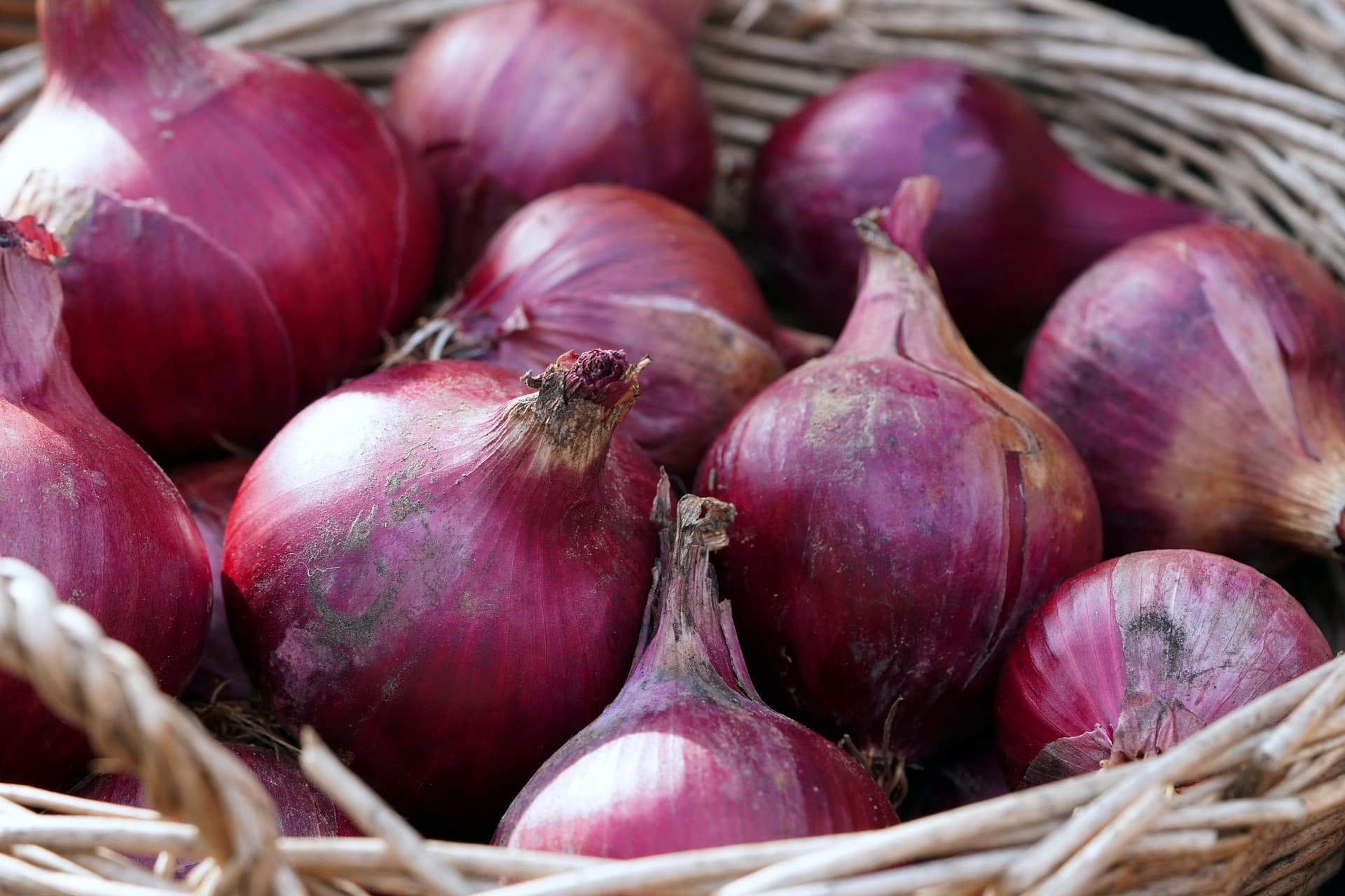 Cebollas