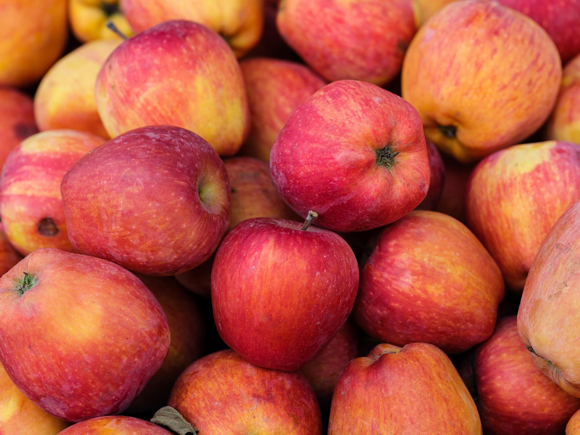 Manzanas