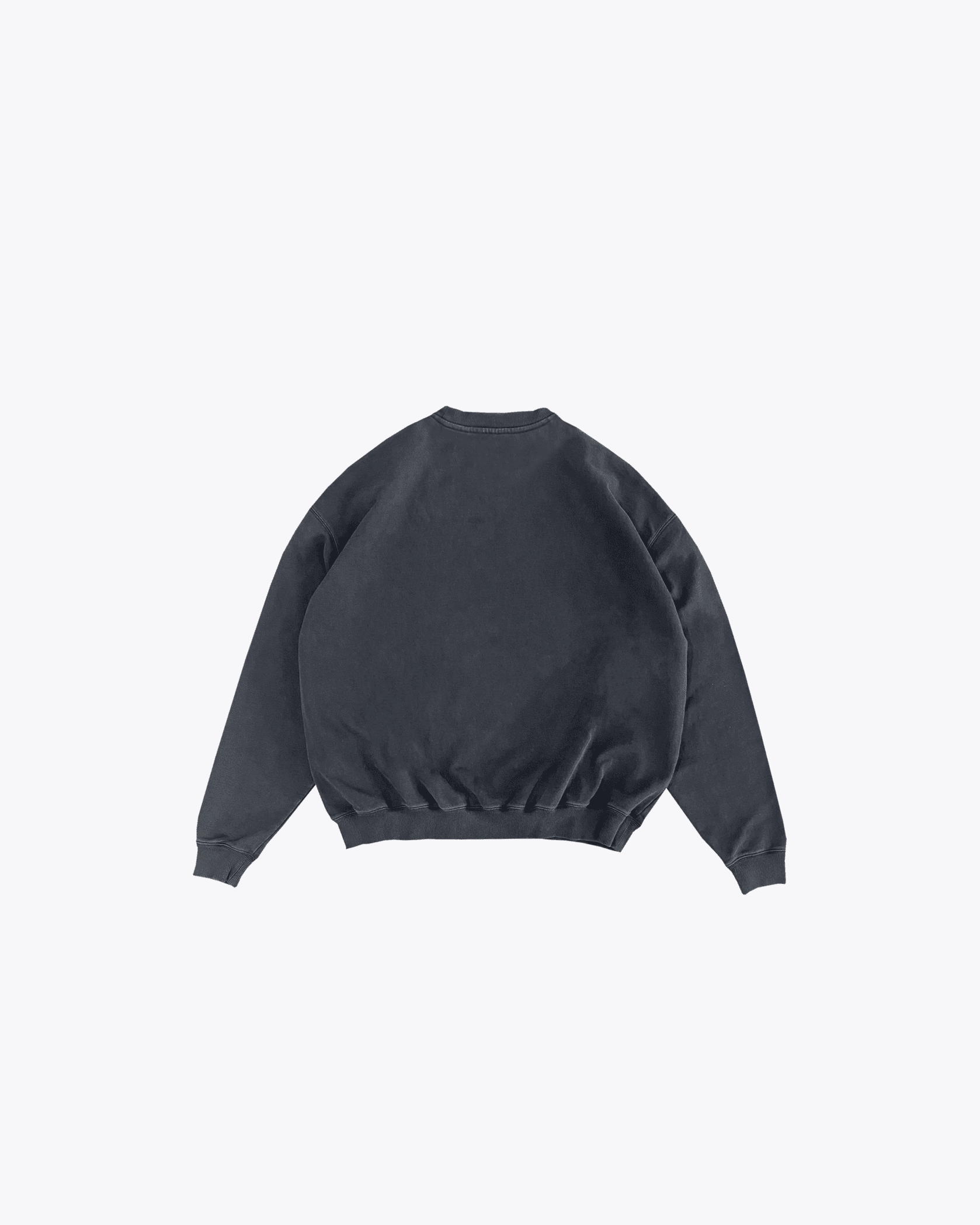 Medusa Sweatshirt - product image