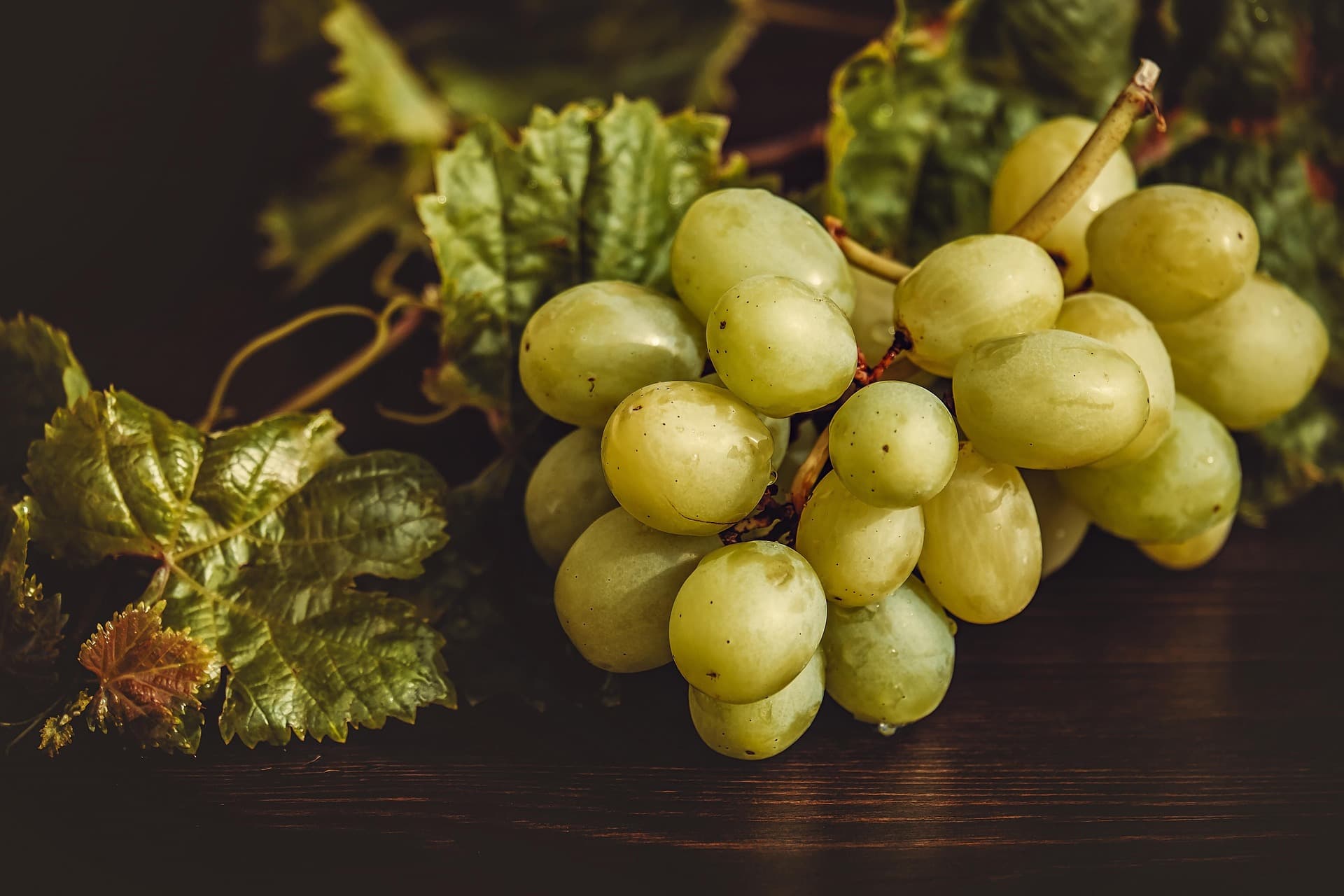 Uvas verdes